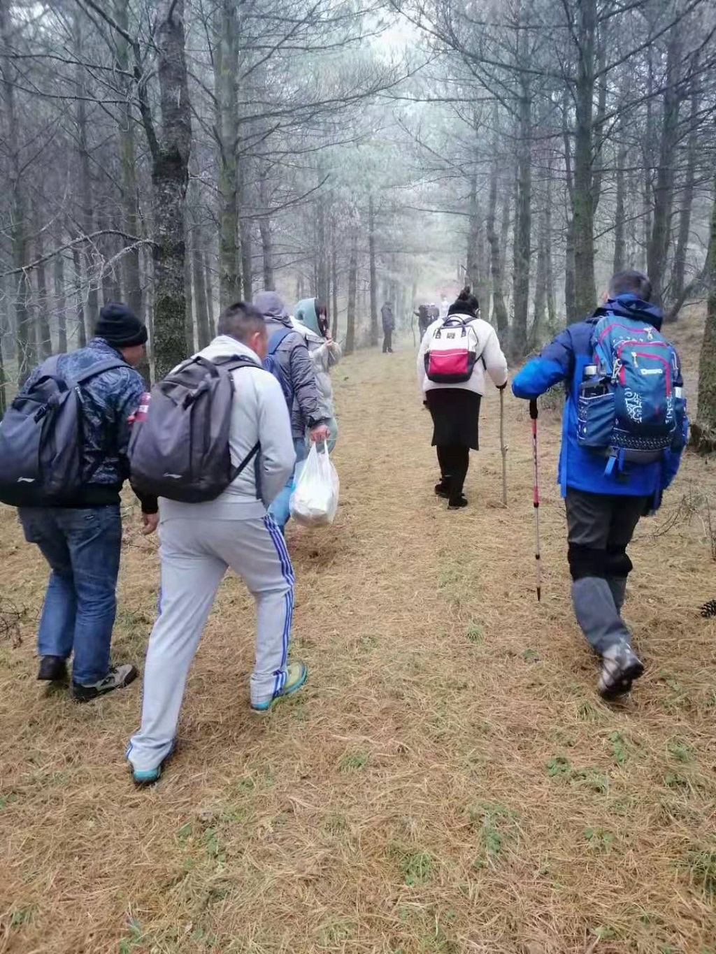 一程風雨一程山水，一樹花開一樹人間